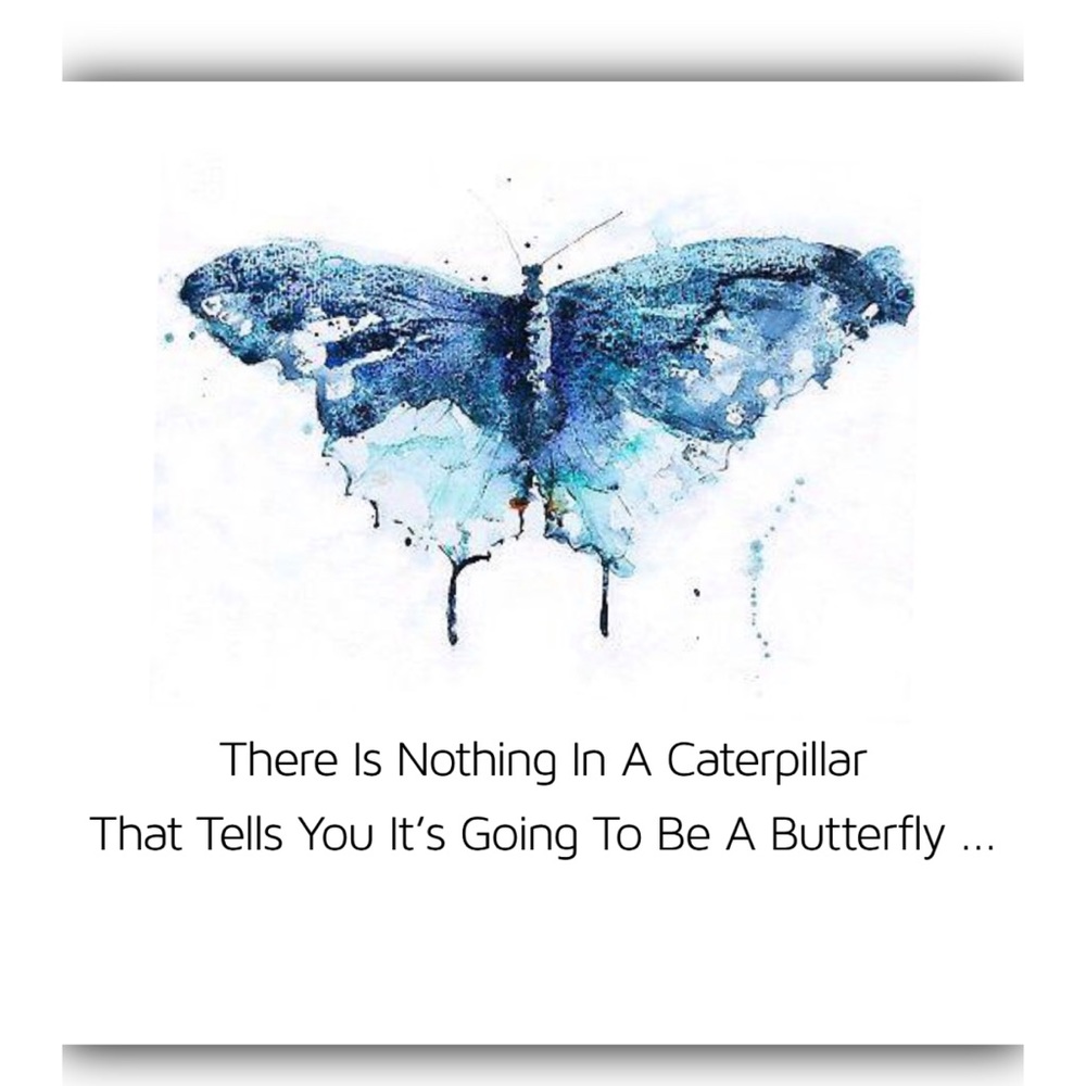 🦋